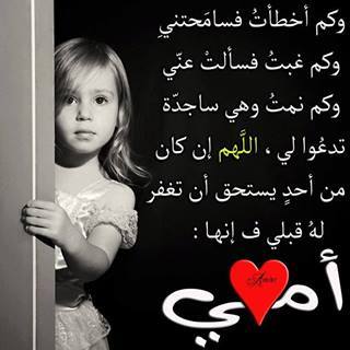 نبض الوطن (@pltp) on Twitter photo 