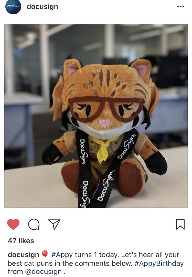 Ohana Coffee On Twitter We All Know I Love My Puns Docusign Is Looking For Your Best Cat Puns Let Em Have It Salesforceohana