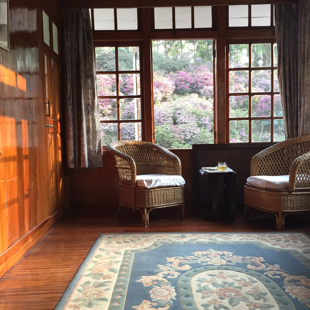 다르질링 굼티 다원의 작은 리조트.
매년 오지만, 이 곳이 더욱 각별한 이유는 7년 전 우리 부부가 허니문을 보낸 곳이어서. 👰🏻🤵🏻