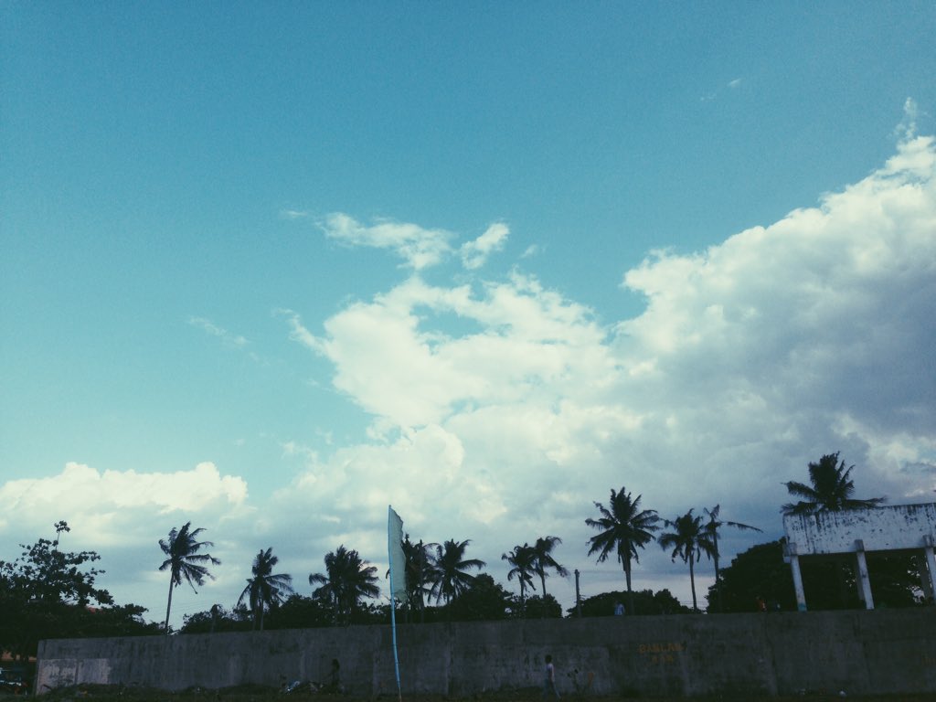 biankee00's tweet image. #vcsocam 🖤