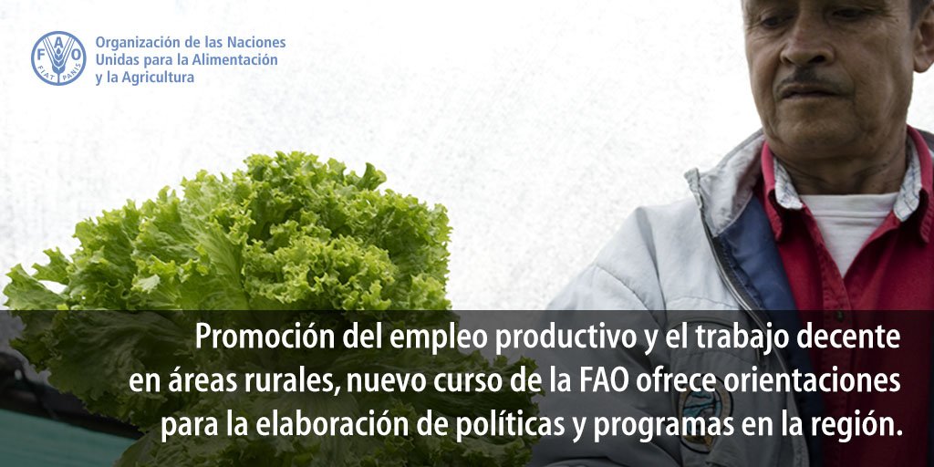FAOAmericas's tweet image. El #empleorural, materia de un curso gratuito de #UNFAO. El #curso de autoaprendizaje Promoción del empleo productivo y el trabajo decente en áreas rurales ofrece orientaciones para la elaboración de políticas y programas en la región. ow.ly/Sngv30jcT9v