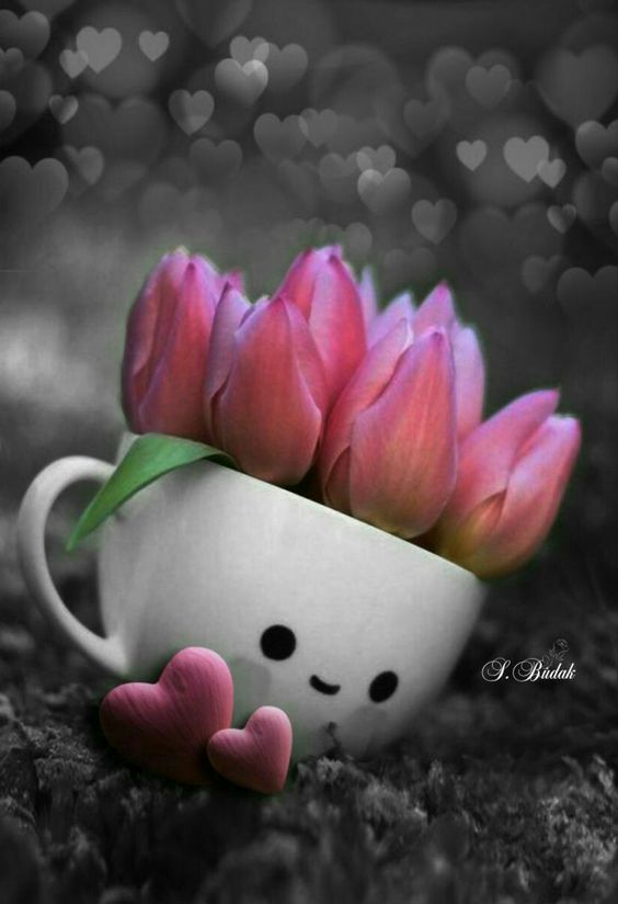 LuzAngelica_22's tweet image. 🇹.🇪.🇦.🇲
🇫❥#TFFLove
🇫╰დ╮
🇱𝔈𝔫𝔳𝔦𝔞 𝔲𝔫 𝔐𝔇 𝔞:
🇴💗@WebOz_ 
🇻🖤@jokinmer 
🇪❤️@Ma77uT 
╰დ╮𝓐𝓼𝓲𝓼𝓽𝓮𝓷𝓽𝓮:
🌹@Mony_TF 
╰დ╮
        ⚬┉2️⃣.0️⃣.1️⃣.8️⃣