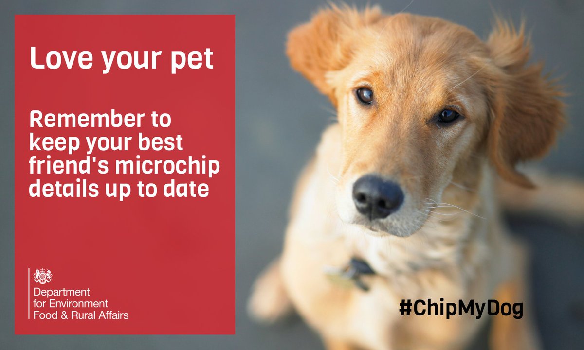 How Do I Update My Dogs Microchip Information
