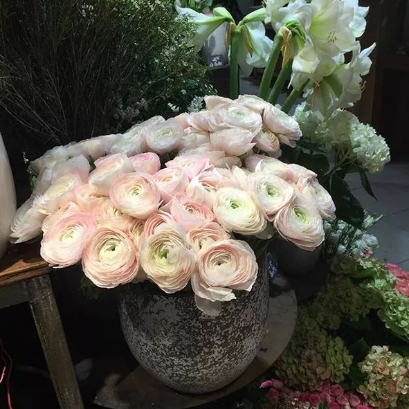 LoveAnd69769401's tweet image. Buen sábadp Marlene y tod@s 😘😘😘😘