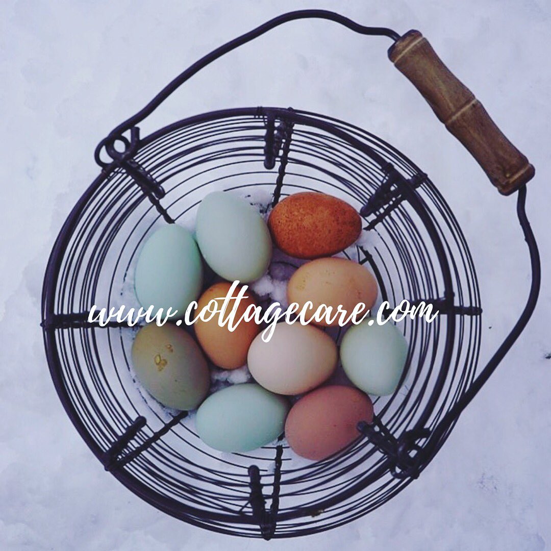Need help getting all of your eggs in one basket? CottageCare® is a great place to begin. Start with Freedom from Housework®...

cottagecare.com