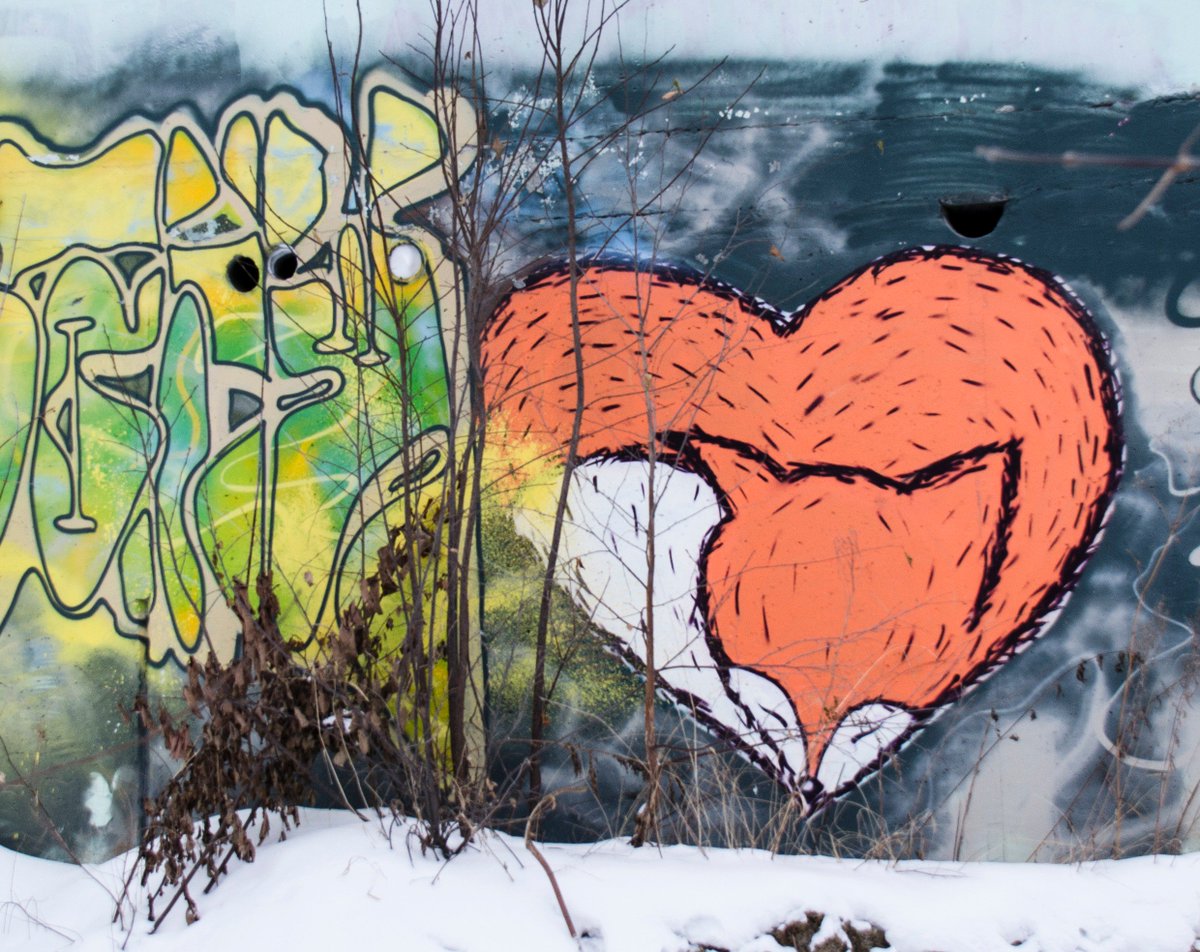 street_ekb's tweet photo. #fox #love #artwork #Streetart #ekaterinburg https://t.co/Yo4FaV65Wn