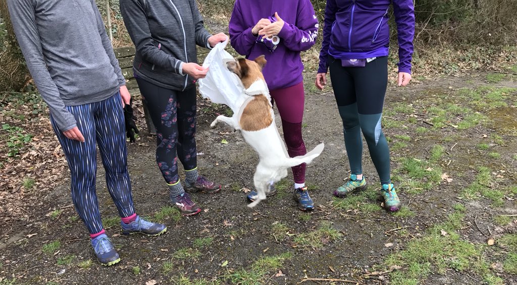 261Greenwich's tweet photo. Following the clues to find the Easter chocolates - even the dog tried to get some! #261Fearless #runningforchocolate https://t.co/QBQAPPR2Z2