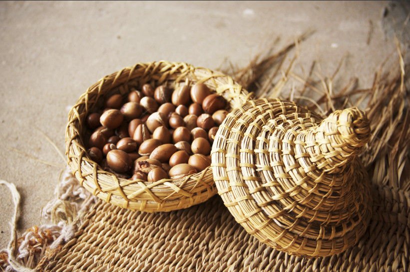 wikibonsai's tweet photo. VERY #Rare #200pcs of #Argan #Tree #Seeds from #Morocco #Area #Chtouka #AITBAHA - https://t.co/igOtIVdwoX #Bonsai #Juniper #JuniperusBrevifolia #JuniperusPhoenicea https://t.co/KcN38Z8zOo