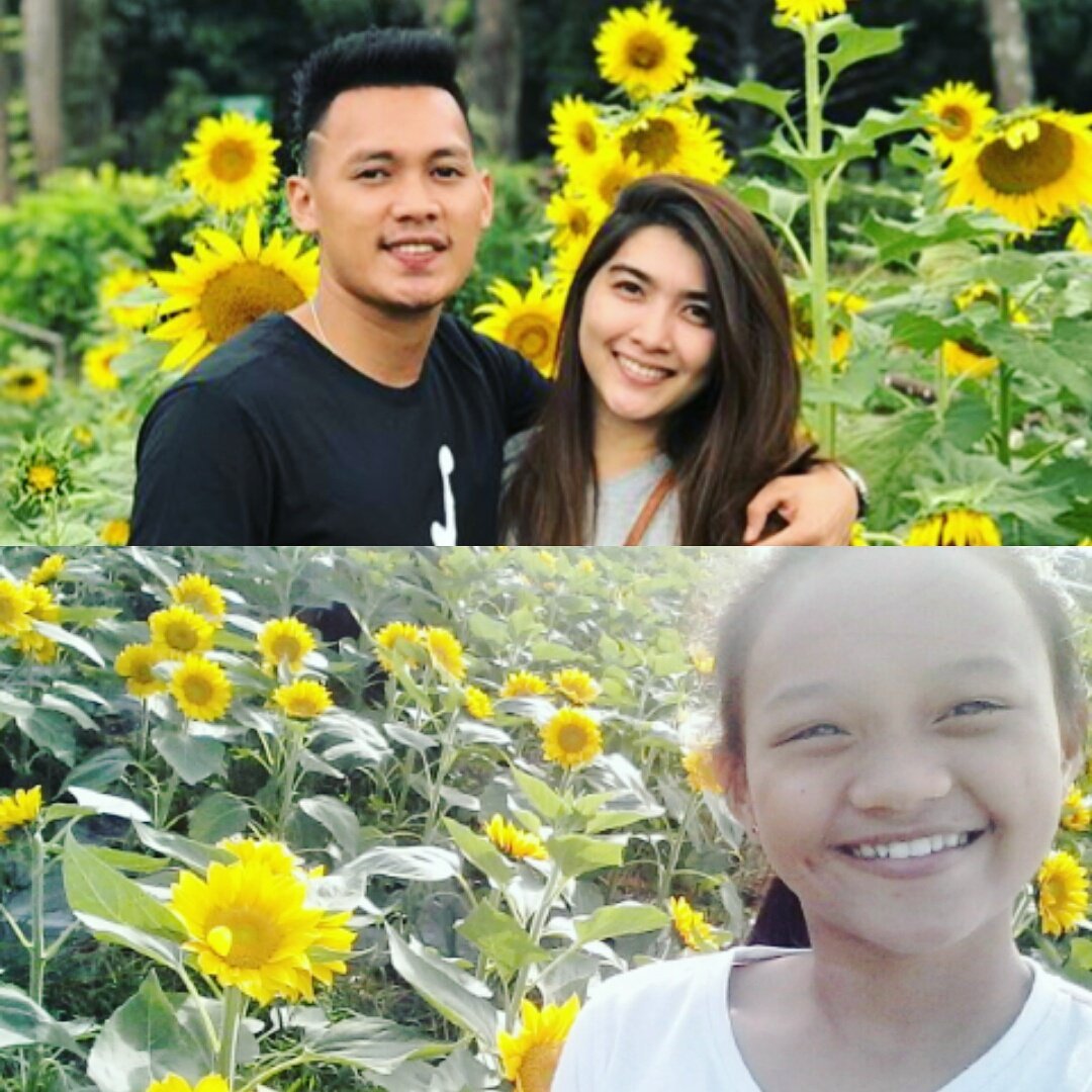 ingridluzon's tweet photo. @ScotThompson06  @paufajardo6 😍😍😍 
Ninong at ninang ko soon😂😂 (my imagination 😂)  love niyo din ang sunflowers?😍💕 https://t.co/8T5JfarTT3