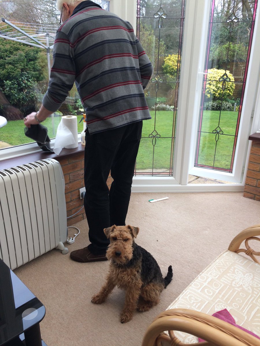 rubyonewt's tweet photo. Supervisor duties this morning whilst they clean the conservatory. They must think summer is on the way #everhopefull 🤔 https://t.co/Oc7SYpnFSB