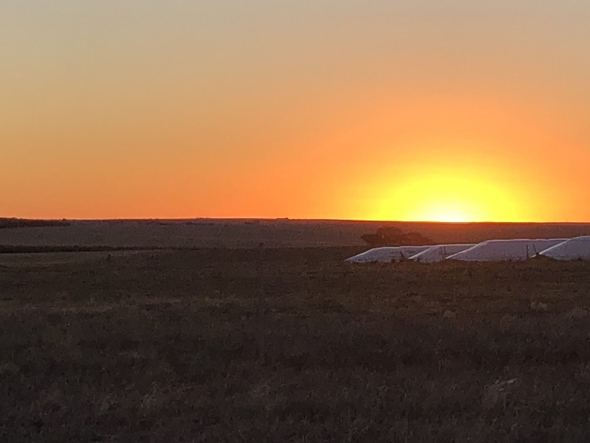 Adrian_Mondy_WA's tweet image. Pretty amazing sunset and moonrise within a half hour of each other