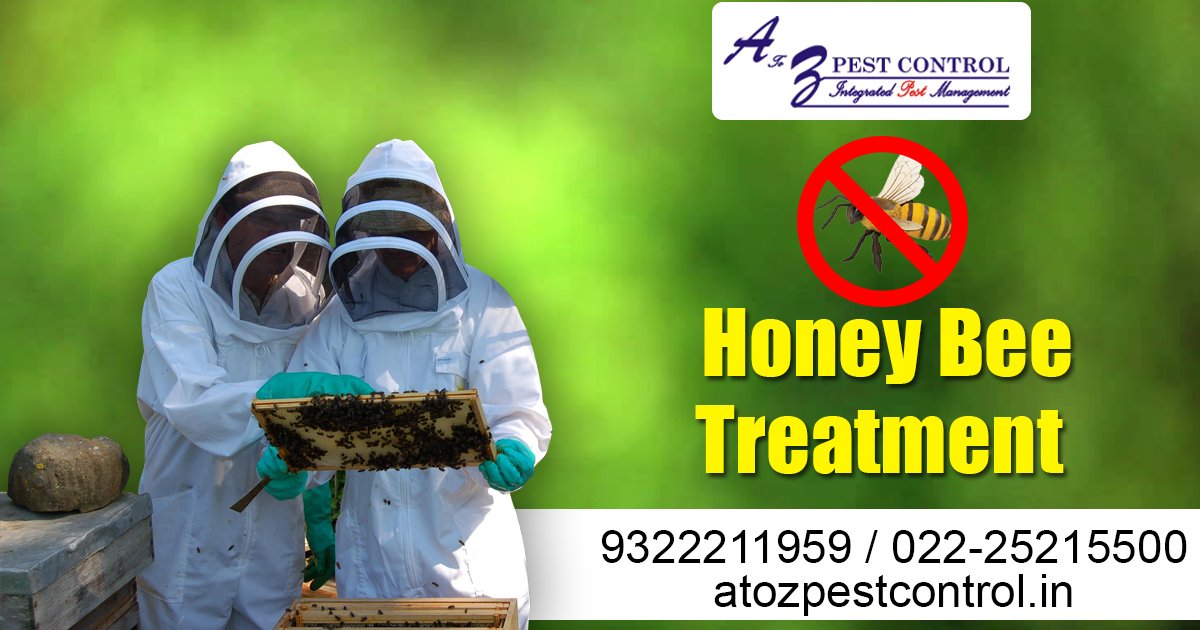 Honey Bee Pest Control Bangalore Pest Control