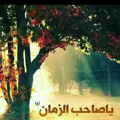 امامي يامهدي
أخبرني
أين يسكن الغياب
وأين يباع اللقاء 
وأين أجد ملامحي الهاربه
من الحنين اليك 

#ياصاحب_الزمان♥️🌱
.
.
#مساء_الفرج_لصاحب_الأمر♥️🌱