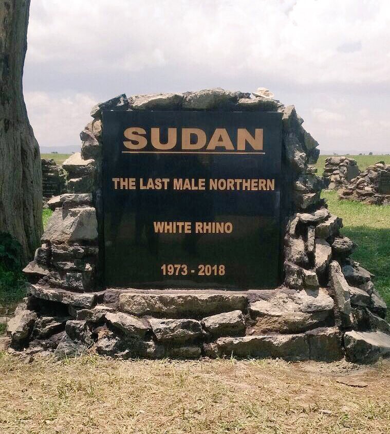 wildlifedirect's tweet photo. Today marks the end of the journey for #Sudan, the last known male northern white rhino. As we celebrate his life, let it be a wake up call to us here in #Kenya and to the rest of the world the importance of conserving our #wildlife #RIPSudan #rememberingsudan https://t.co/yHCYVAkesh