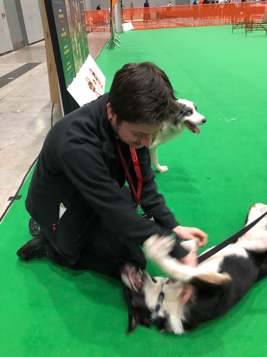 ACC_Production's tweet image. It's a difficult day for our sound engineer Joe! #DogMania