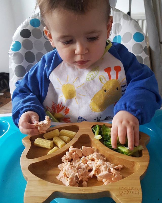this_mama_can_'s tweet photo. Huge fan of JJ's new suction plate from @bamboo_bamboo.uk 👌 he may still throw most of his dinner of the floor but at least the plate stays put 🤣
•
•
•
#bamboobamboo #suctionplate #babymealtimes #toddlerplate #babyledweaning #newtextures #healthy… https://t.co/L80JhYenzW https://t.co/SRlUMujI47