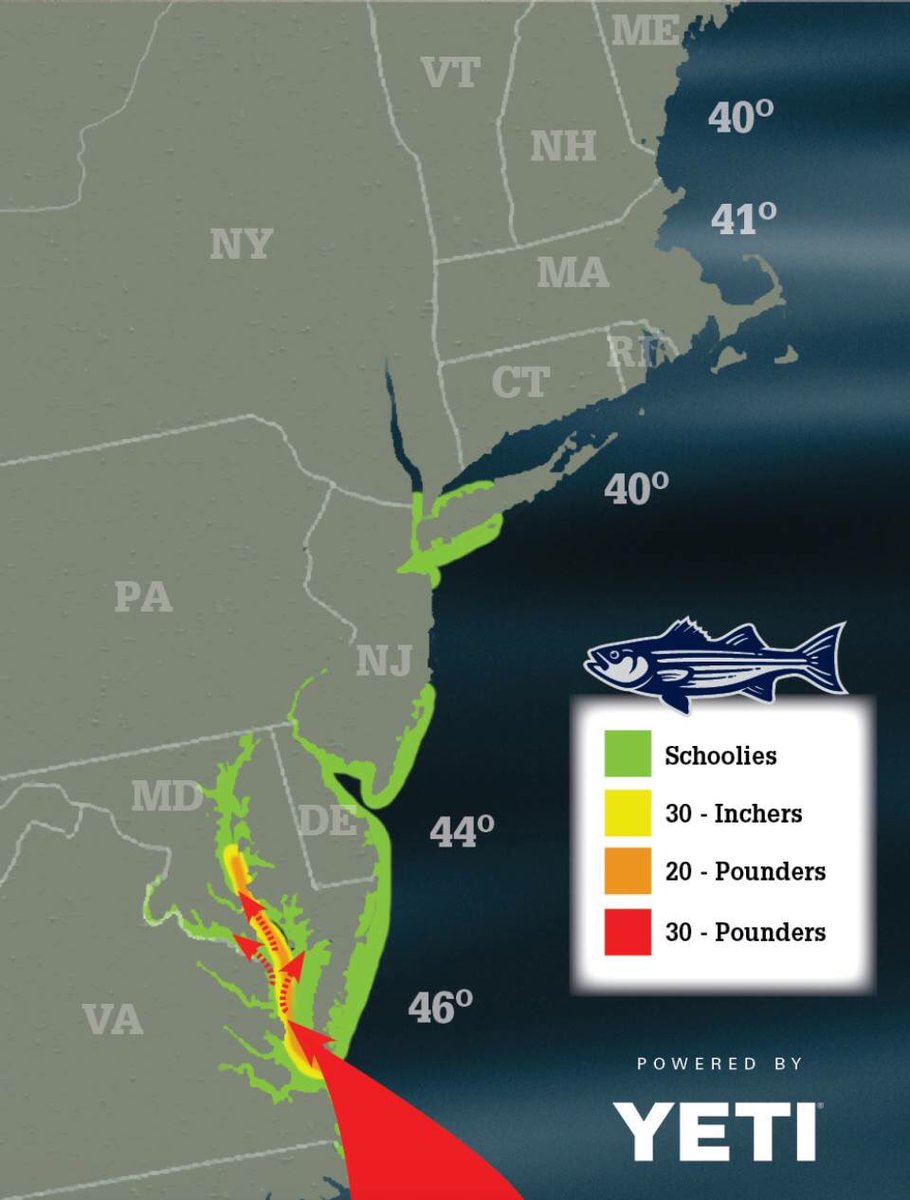 Striper Migration Chart