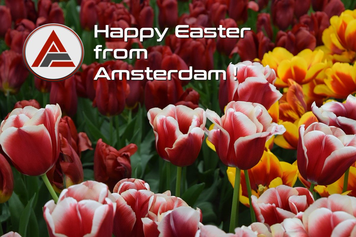 AmsterdamCrypto tweet media