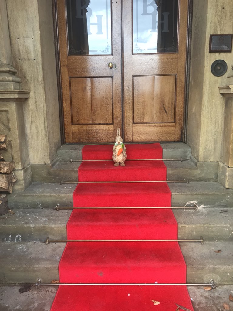 George Norton has felt like a celebrity today on the red carpet #vip #redcarpet