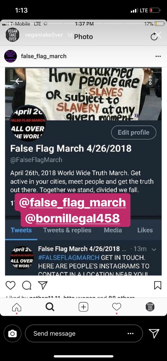 La_Lidzy's tweet photo. Follow 
These pages on IG &amp; join the #falseflagmarch https://t.co/6avt21mbG0