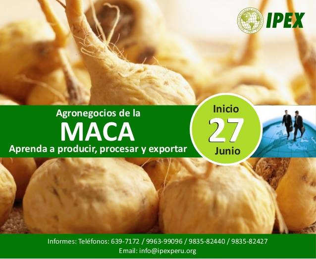 MacaPowderBenef's tweet image. #Superfoods #MacaPowderBenefits #MacaRoot
Read more: bitly.com/benefitsmaca