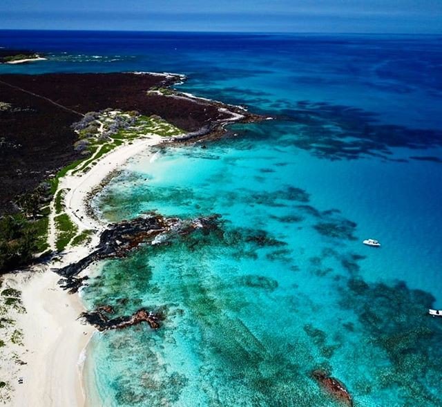 jazzstar3729's tweet photo. Reposting @d.babzy: - via @Crowdfire
50 shades of blue
#kona #hawaii #islandlife #ocean #worldcaptures #paradise #picoftheday #bigisland #underwaterphotography #beautiful #work #bestoftheday #dreamjob #photooftheday #instagood #dronephotography #dronestagram #fromupabove https://t.co/EUcprL46GX