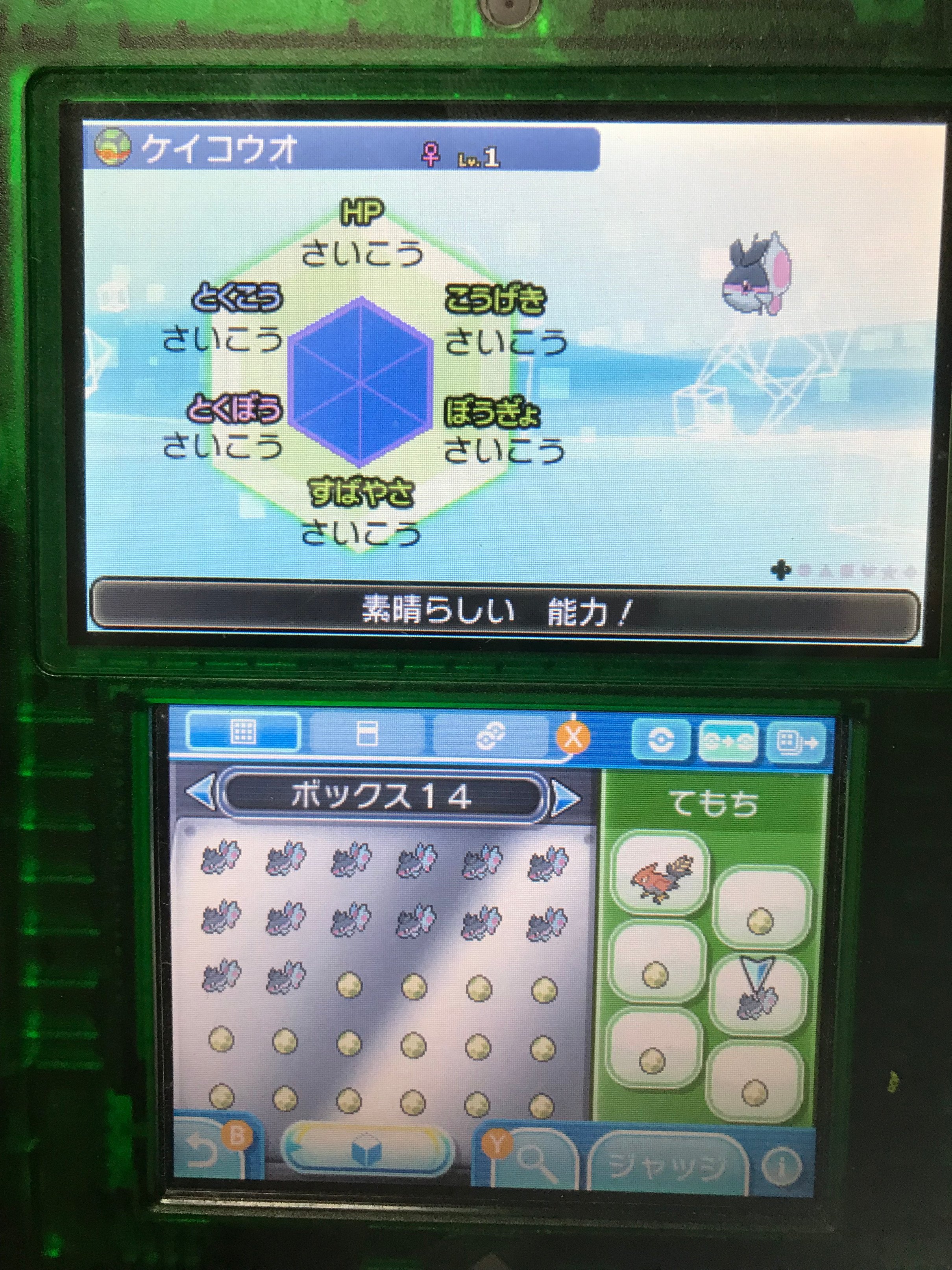 ポケモン6v記録 Twitter