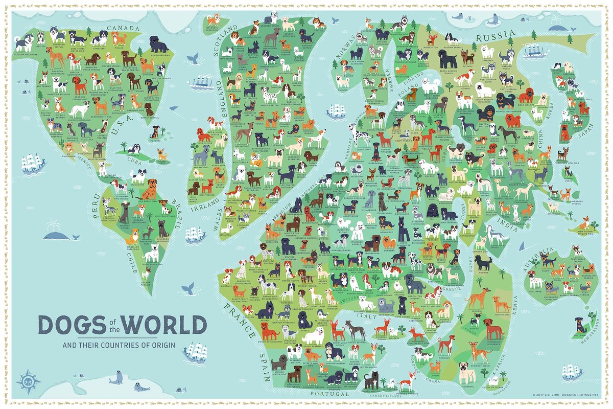 Dogs of the world
