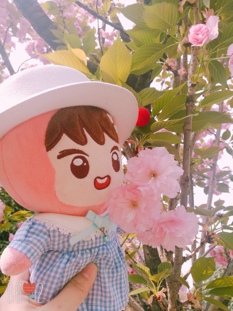 coldsummer0606's tweet photo. #해뽀 #haeppo
🐻&🌸 https://t.co/OgZS8UUdMP
