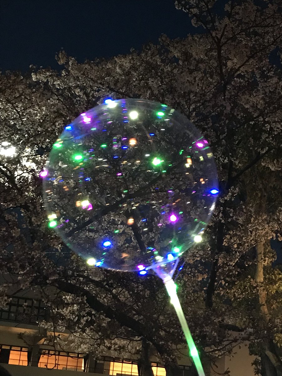 ট ইট র Machiko 会社の人達とお花見 寒い中昨晩から場所取りしてくれた方々に感謝 O O そして勢いで夜桜に光る丸いものを買ってきた後輩くん達もw お花見 夜桜 光るもの