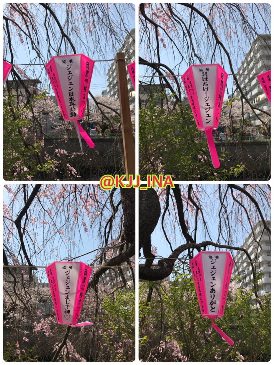 At Meguro River 🤩🤩🤩 lentera dengan tulisan Jaejoong bertebaran dimana2