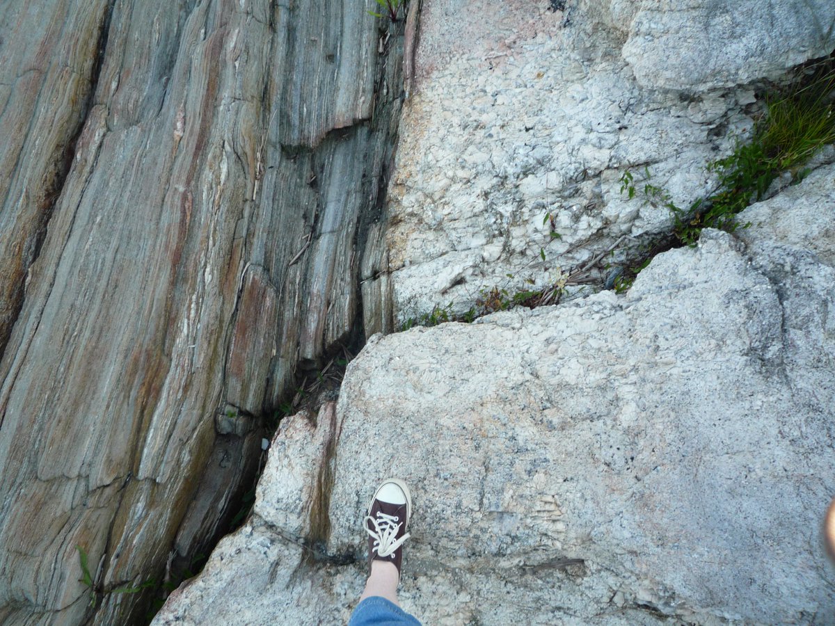 MicroEarthSci's tweet photo. I'm not 100% sure this is a shear zone, but this looks pretty sheary to me and is at least nearish the Norumbega. Most of the strain seems to be taken up by the mafic parts. Popham Fort, Maine. #ShearZoneSaturday https://t.co/iWPjF6DSqB