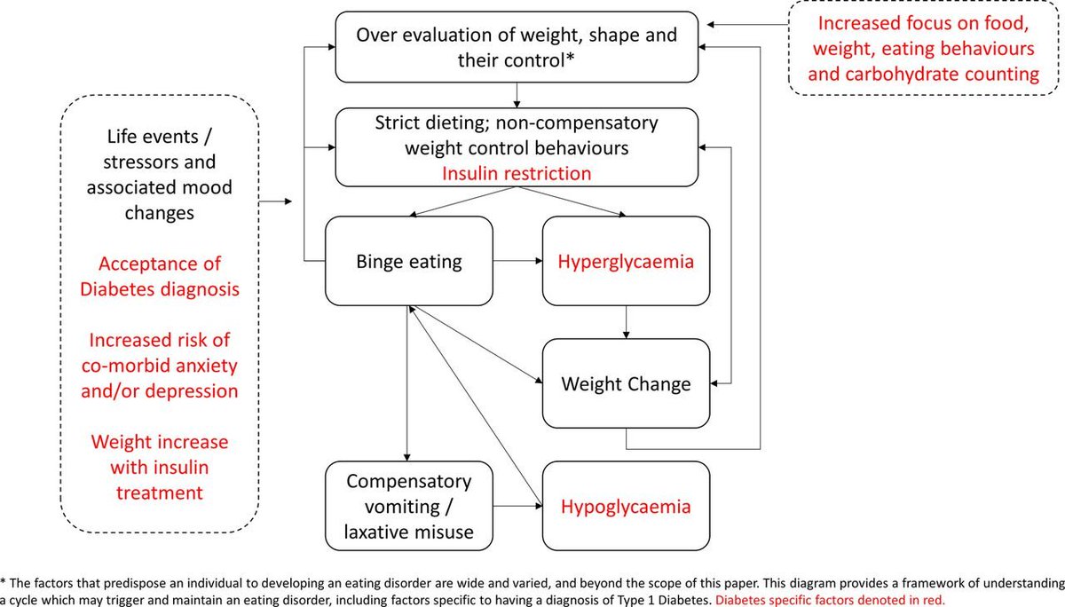 diabeticswithed's tweet image. #T1ED #diabulimia #eatingdisorders #T1D #mentalhealth #eatingdisordertreatment #eatingdisorderrecovery #type1diabetes #EDDMT1