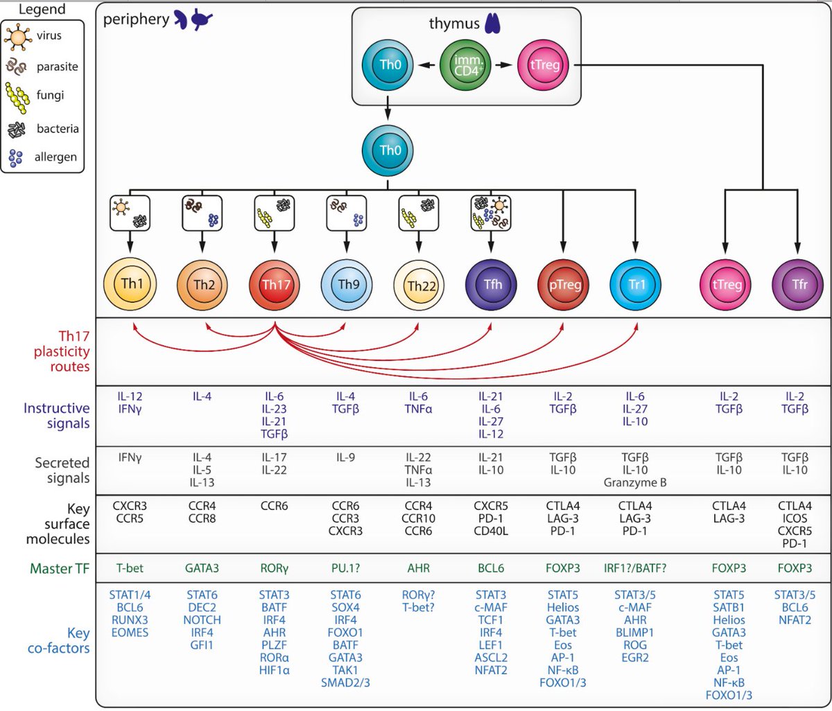 theories of international