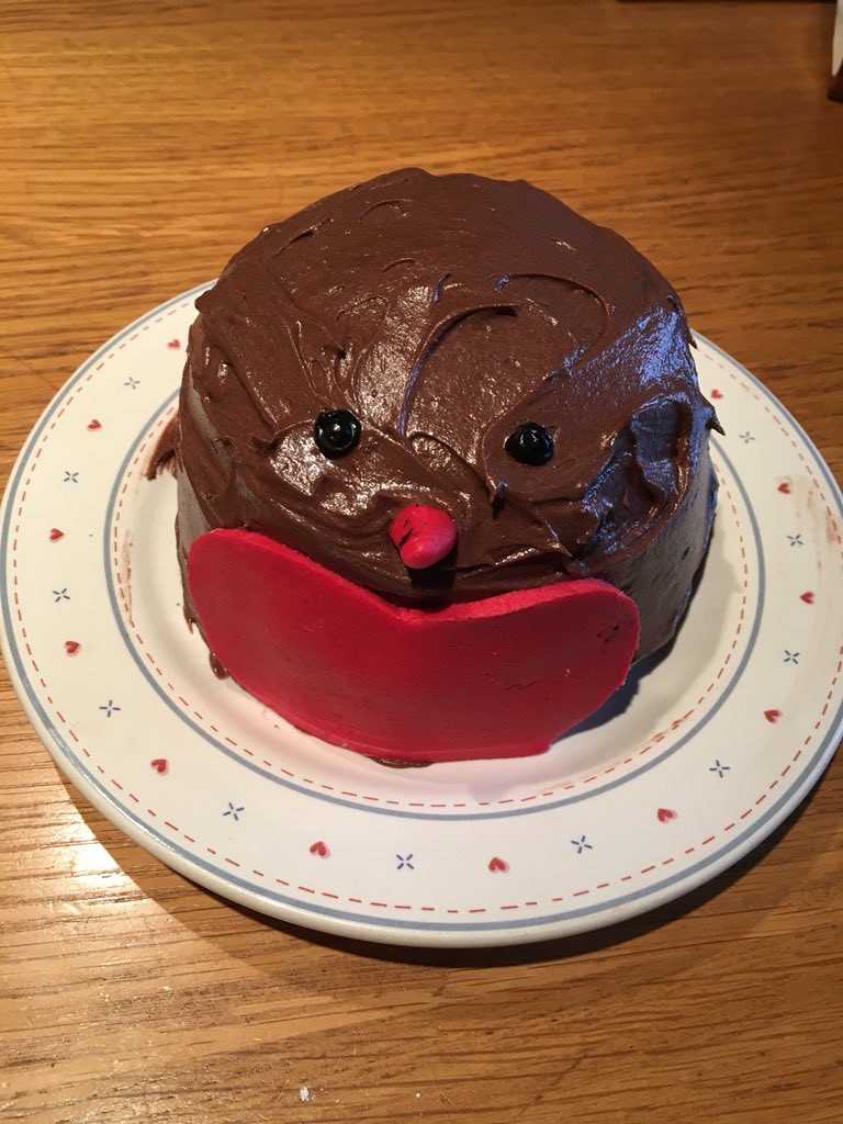 Spanna91's tweet photo. My microwaveable #chocolate #robin cake @LakelandUK #looksdivine https://t.co/s4GMrjfL3T
