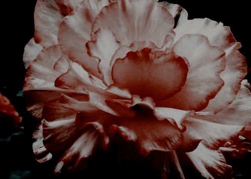 ⠀⠀⠀⠀⠀⠀⠀⠀⠀

𝑾𝒉𝒆𝒏 𝑰 𝒔𝒍𝒆𝒆𝒑, 
𝐈’𝐦 𝐠𝐨𝐢𝐧𝐠 𝐭𝐨 𝐝𝐫𝐞𝐚𝐦 𝐨𝐟 𝐡𝐨𝐰 𝐲𝐨𝐮 𝐭𝐚𝐬𝐭𝐞𝐝;

⠀⠀⠀⠀⠀⠀⠀⠀⠀