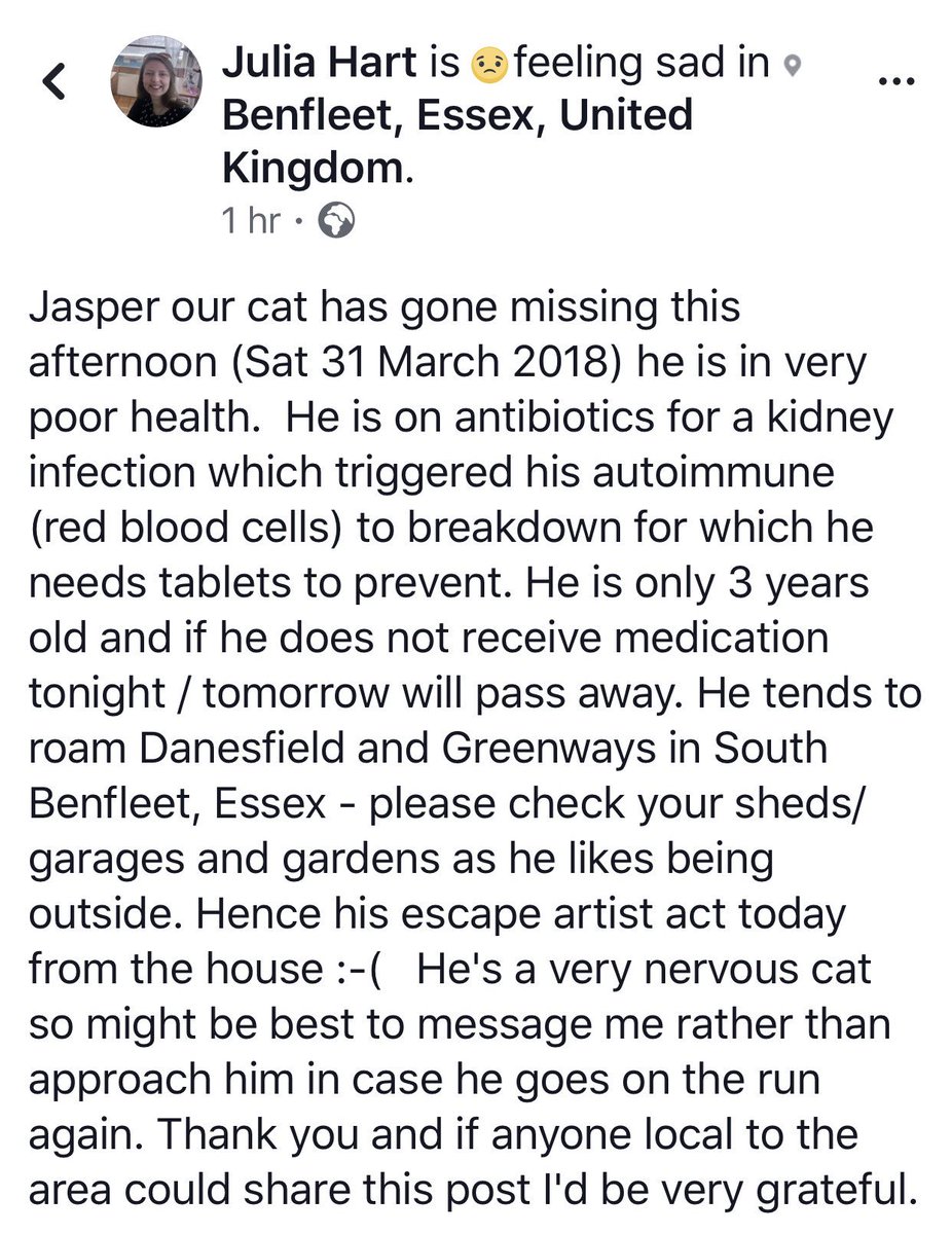 Please retweet and help us find gorgeous Jasper, he needs to be home having his meds!!! Missing in #Benfleet #Essex #lostcats #lostpets #Lost #MissingCatsUK