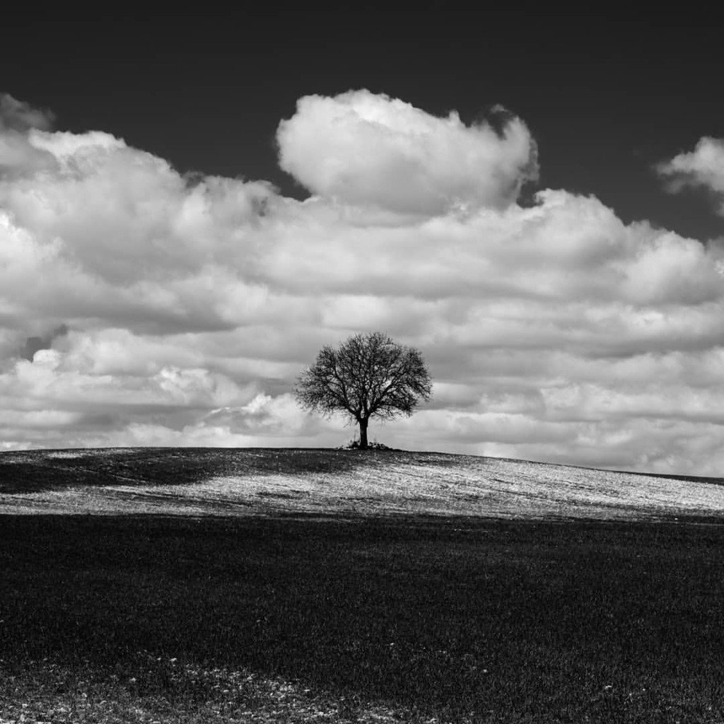falevian's tweet photo. #streetphotography #street #burgos #burndiary #burnmagazine #Spain
#gspc #lfimagazine #LCExposure #oggl #burndiary #d #shootermag #helloicp #msnbcphoto #myfeatureshoot #everydayeverywhere #NOSp #tree burndiary, oggl, msnbcphoto, shootermag, lcexposure, nosp, burnmagazine, … https://t.co/LeME7q4ltj
