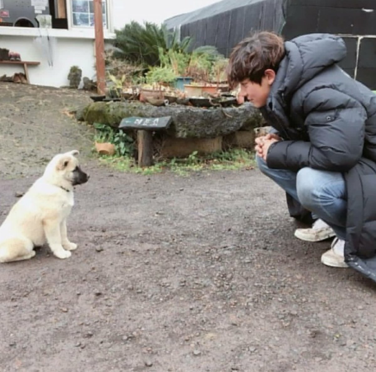 punkchee_'s tweet photo. SM Entertainment เผย ข่าวลือศิลปินวง EXO ย่างหมากินหลังหอ เป็นเรื่องจริง หลังมีผู้พบเห็น ปาร์คชานยอล EXO เดินอุ้มหมาสีขาวหายไปในซอก ควันโขมงฉุยฉาย ทางด้านศิลปินหนุ่มรับสารภาพ กินมาแล้ว 12 ตัว แต่เป็นมังสวิรัติกับหมามีขนสีดำ… https://t.co/HANuhq7aeR by #htoeyz_ via @c0nvey https://t.co/6sRsrMkdTk
