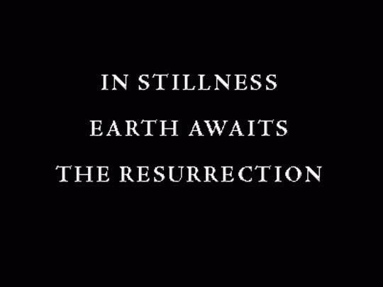 heine kapp (@heinekapp) on Twitter photo 