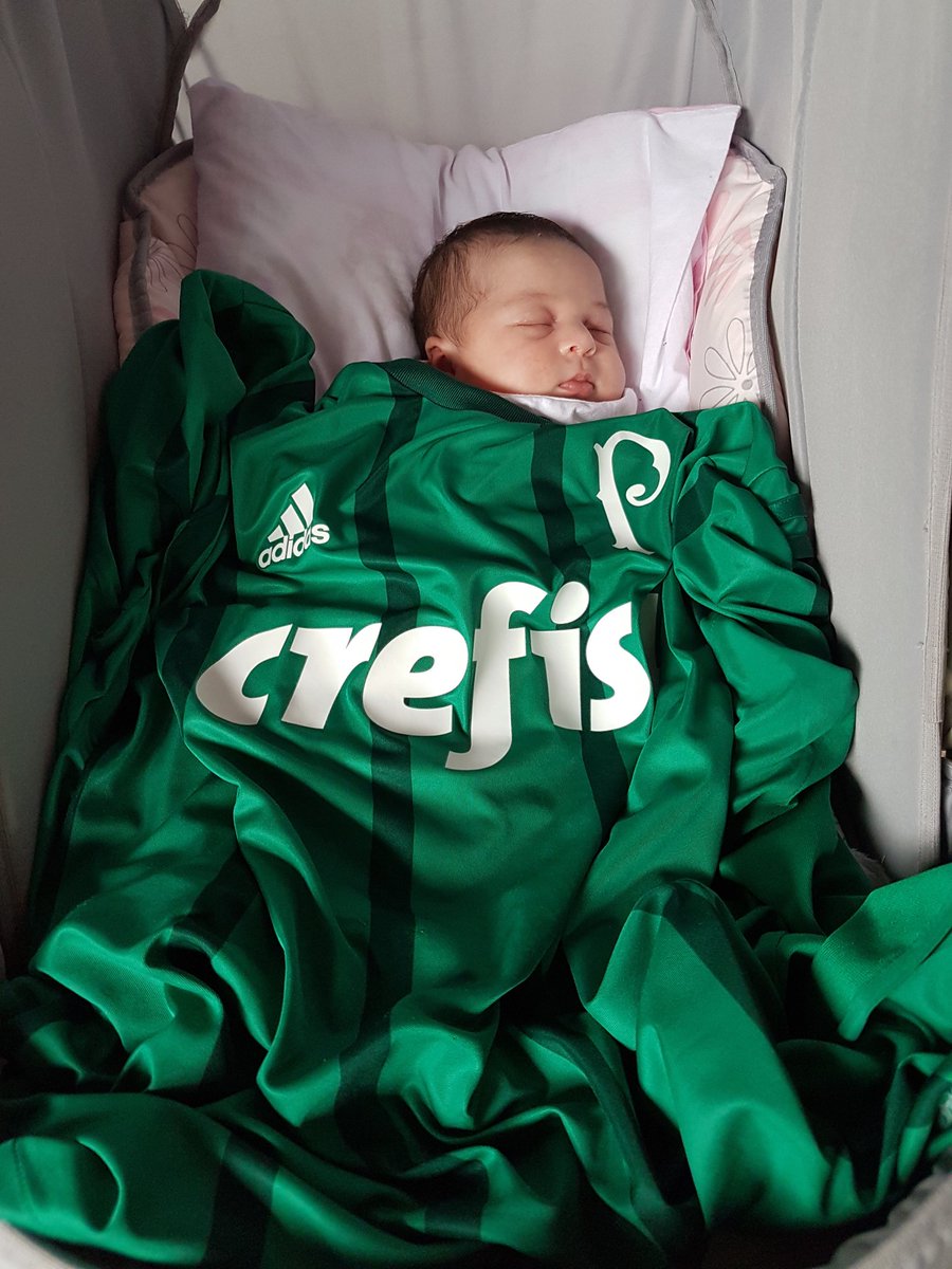 ReginaldoLSep's tweet image. Todo amor que eu sinto por ti @Palmeiras eu vou passar pra minha filha! #VAMOSPALMEIRAS #VamosGanharPorco