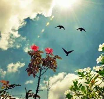 <a href="/7vuJV1fZC5uylXc/">رسول الخالدي النجفي</a> @Hannen777771111 @Hala_1983 <a href="/ys_235/">…ابتہالات …</a> @eaad6320gmailc1 <a href="/thiikraaltamimi/">رذاذ</a> <a href="/iq_Noona_/">🌸فہيہض ألكہوثہر🌸</a> <a href="/MLOK_IQ/">MloK</a> @zhsi173 <a href="/Sindrilla7/">Sindrilla</a> من يعيش على الأمل لا يعرف المستحيل
لن تغرق سفينة الحياة في بحر من اليأس طالما هناك مجد إسمه الأمل ...
خيبة الأمل دليل على أن الأمل كان في غير محله
لولا الأمل لما عاش المظلوم حتى اليوم

رؤؤعة اخي رسول 🎀🍃