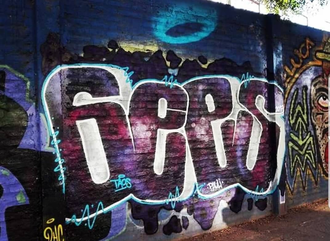 [MURALISTA DEL DÍA]

Una de nuestros 10 muralistas es Felipe Fuentes, 31 años, de Lo Altos de Quilicura, Diseñador Gráfico y Grafitero.Pinta hace 15 años.

Participó en el Muro por la Paz de Peñalolén y en el encuentro Empoderarte de La Reina. 

Instagram: gees.86