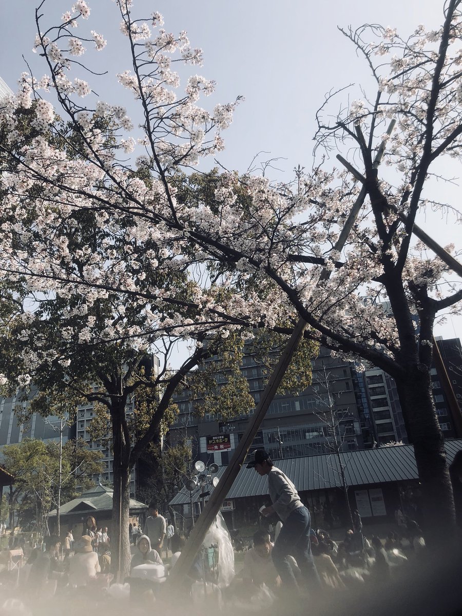 鬼と桜