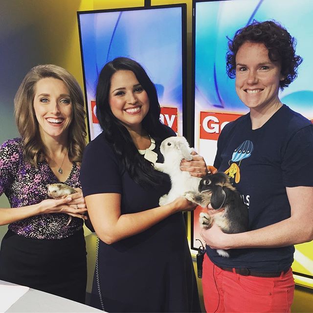 TinyTailstoYou's tweet image. @c.philly and some of our animal friends from @tinytailstoyou had so much fun on @fox7austin this morning for their Easter weekend special! .
.
.
#atxanimals #austinspring #atxfun #austinlocal #austincute ift.tt/2H3whl2