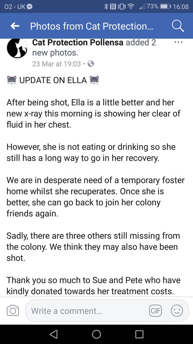 MirandaPearce's tweet photo. @TOTNMallorca @PtoPollensaCom @MajorcaDaily #cat #shootings in #puertopollensa #Mallorca https://t.co/gSyc56BK5h https://t.co/bksDm6XP5V