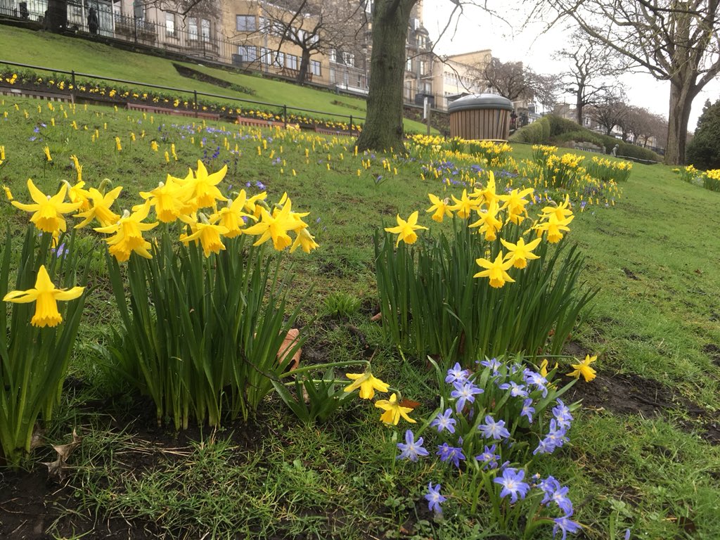 EdinburghEasterPlay tweet media
