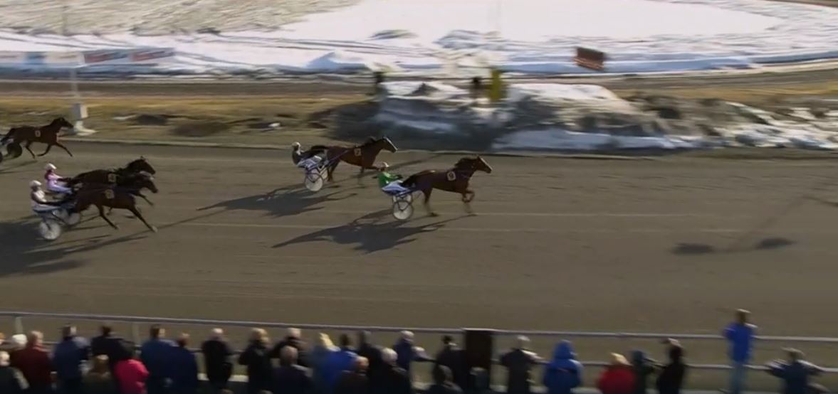 Joe_Zagari's tweet photo. #PingusVang 🇩🇰#SjsPhoto won #KlosterskogenGrandPrix on Klosterskogen Travbana 🇳🇴 with #ÅsbjørnTengsareid #SigbjørnKolnes over #ILoveParis @goopbjorn and #Rafolo https://t.co/XRmnwk9yvz