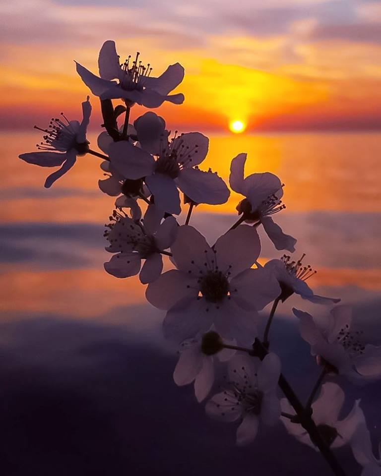 Ah... Kindness. 
What a simple way to let another struggling soul know 
that there is love to be found in this world..