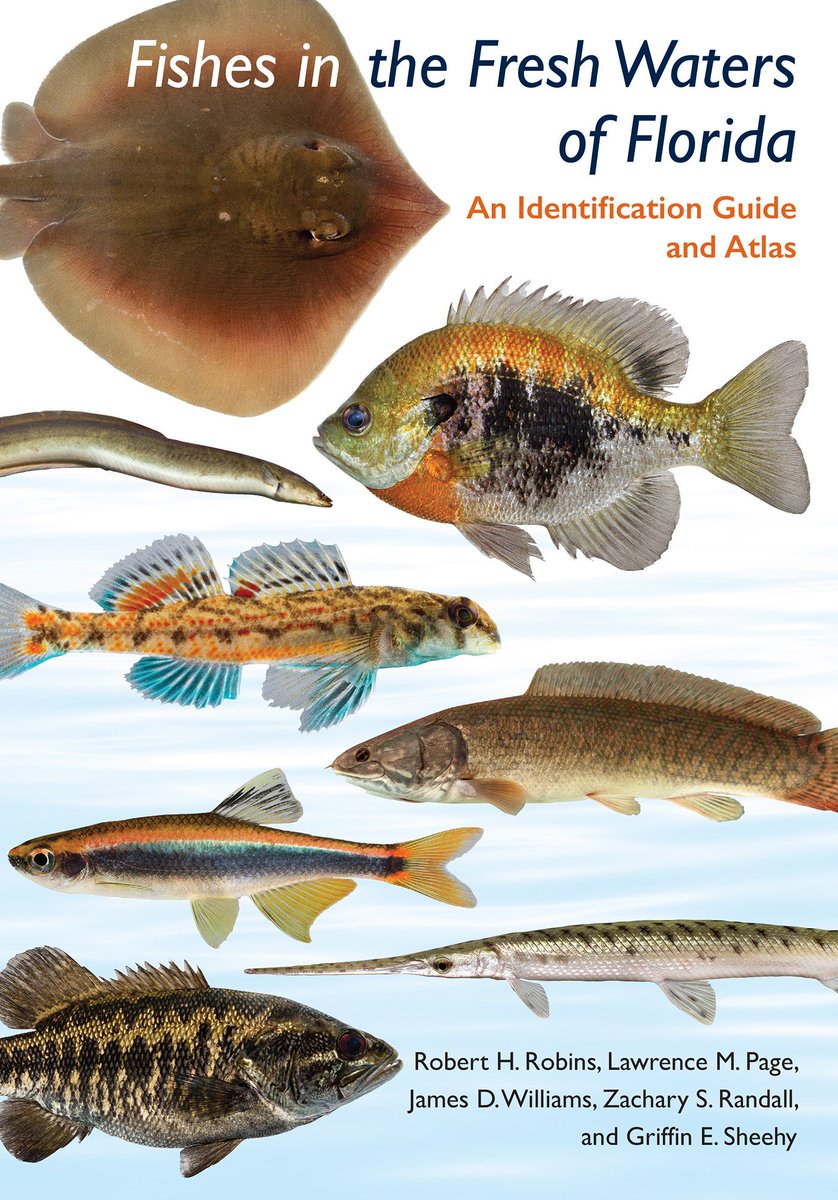 Florida Museum tweet media